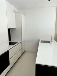 Scotts Square (D9), Apartment #467698111